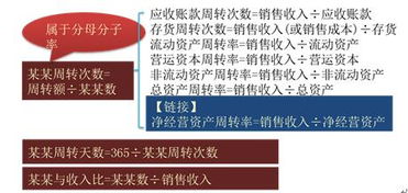 2017年注册会计师财务成本管理讲义 资产管理比率及其在注册会计师业务中的应用
